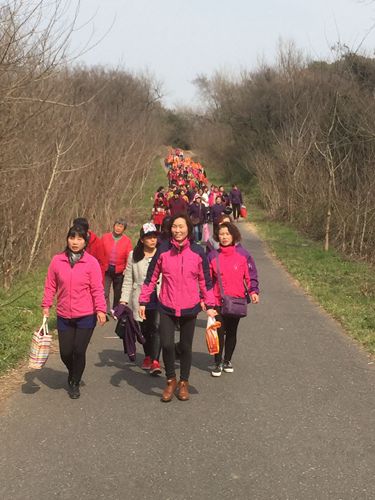 滨江三八节活动2