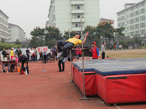 第42届运动会7