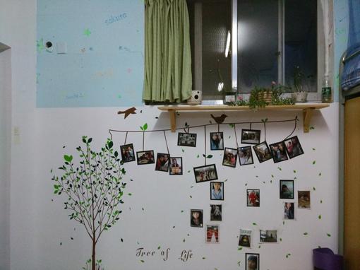 寝室文化装饰比赛