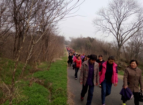 滨江学院后勤服务中心职工“38妇女节”登山活动1